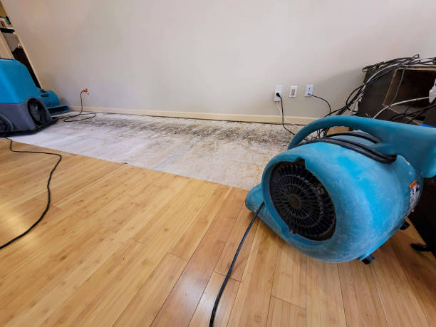 Professional Structural Drying technician working in Mora, MN